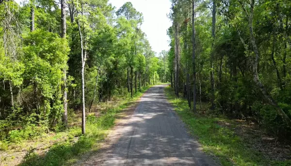 Defuniak Springs, FL 32433,0000 Piney Grove Church Road