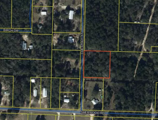 Defuniak Springs, FL 32435,80 Chestnut Street