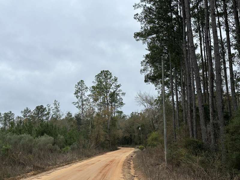 Tract#6411 S White Road, Chipley, FL 32428