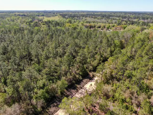 Caryville, FL 32425,TBD Bonifay Gritney Road Lot 29