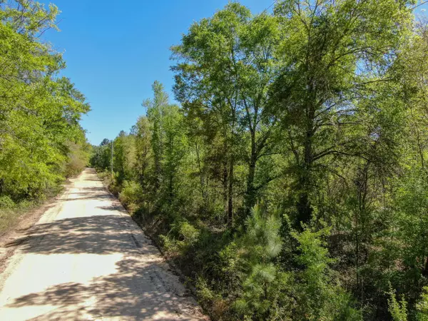 TBD Bonifay Gritney Road Lot 29, Caryville, FL 32425