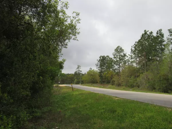 Defuniak Springs, FL 32433,Lots 22-23 Trout Drive