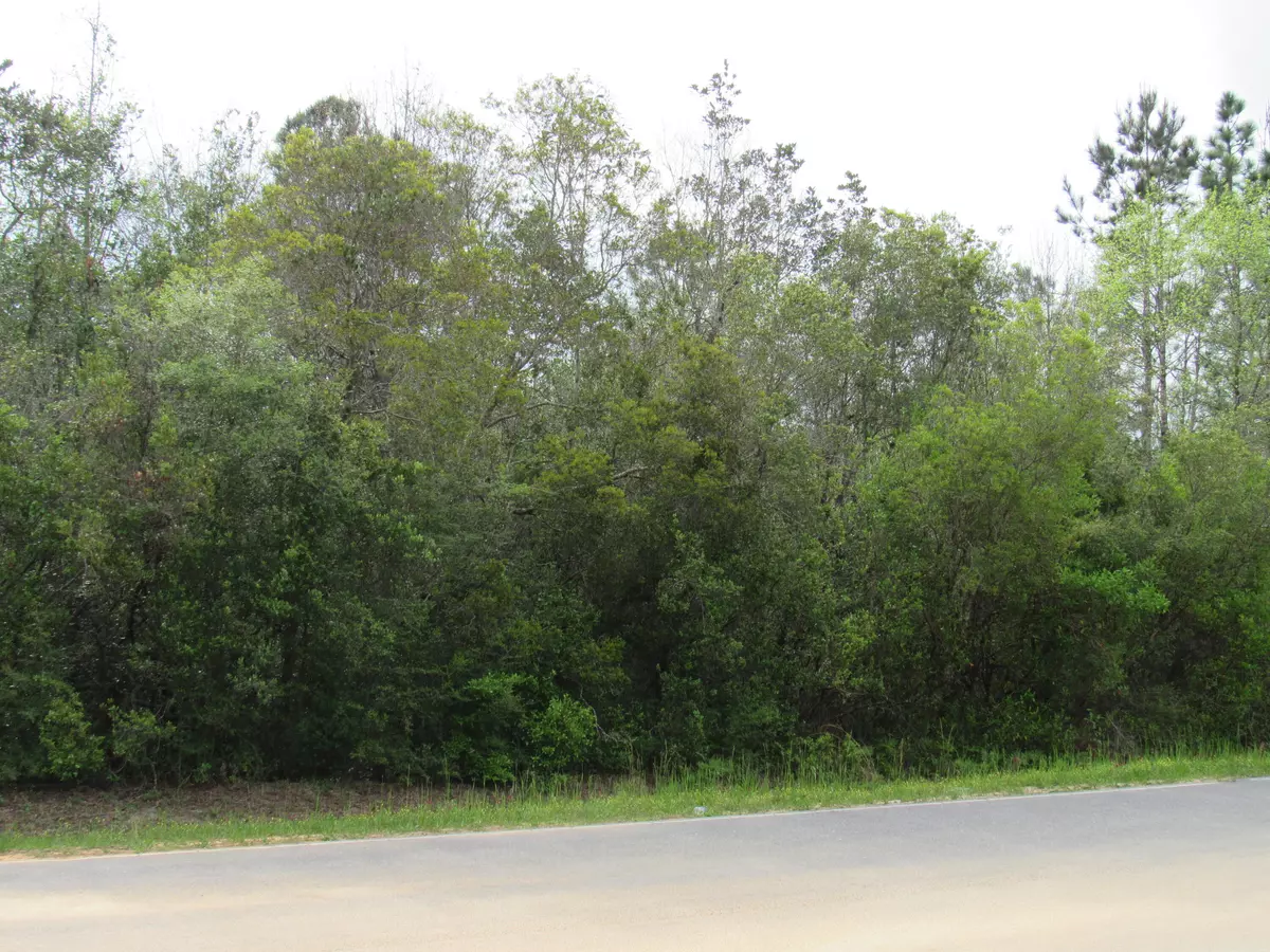 Defuniak Springs, FL 32433,Lots 22-23 Trout Drive