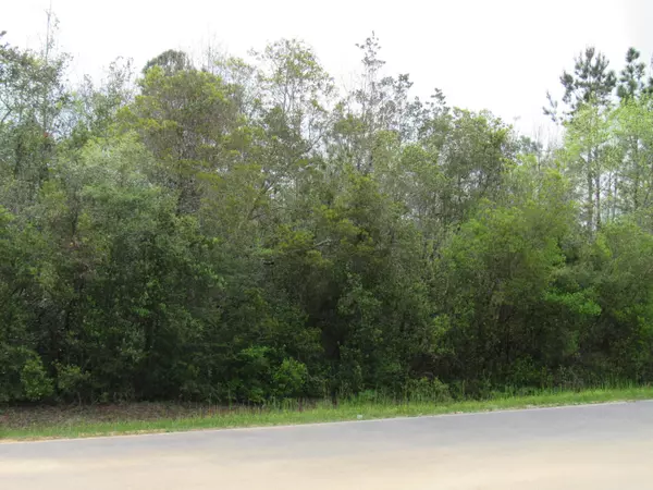 Lots 22-23 Trout Drive, Defuniak Springs, FL 32433