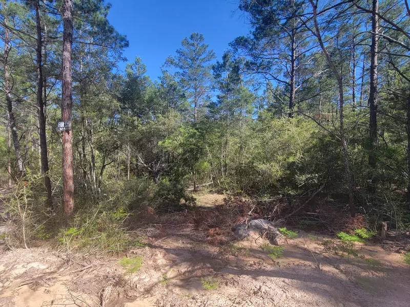 Lot  20 Snapdragon East Street, Defuniak Springs, FL 32433