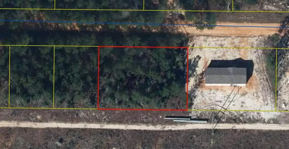 Defuniak Springs, FL 32433,TBD Cowslip Court