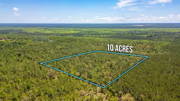 Holt, FL 32564,10 Acres Annie Jo Road