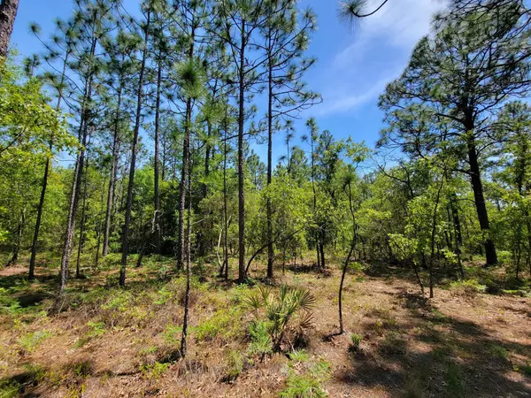 Holt, FL 32564,10 Acres Annie Jo Road