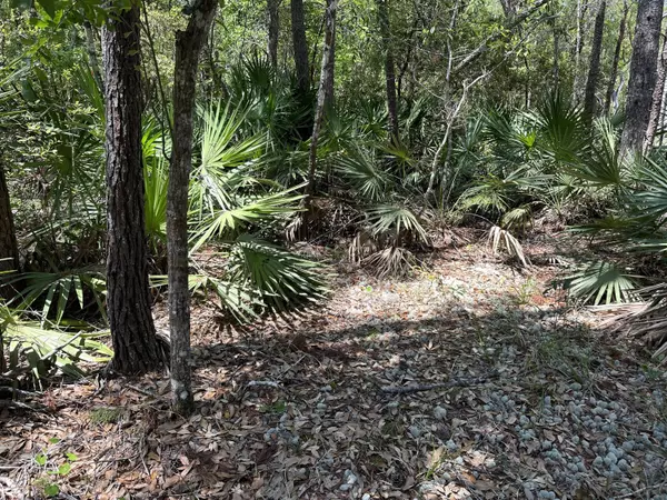 Santa Rosa Beach, FL 32459,Lot 32 Taurus Drive