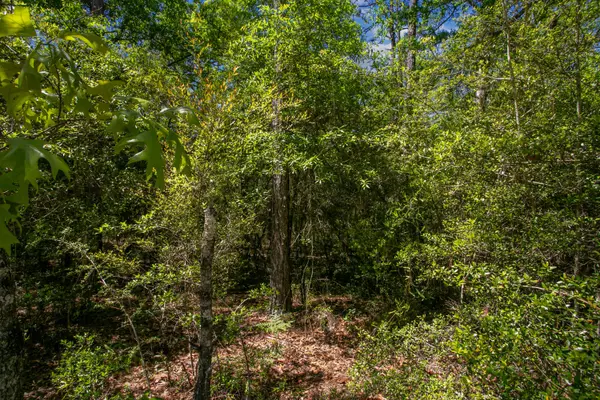 Defuniak Springs, FL 32433,Lot 16 Demarsh Lane