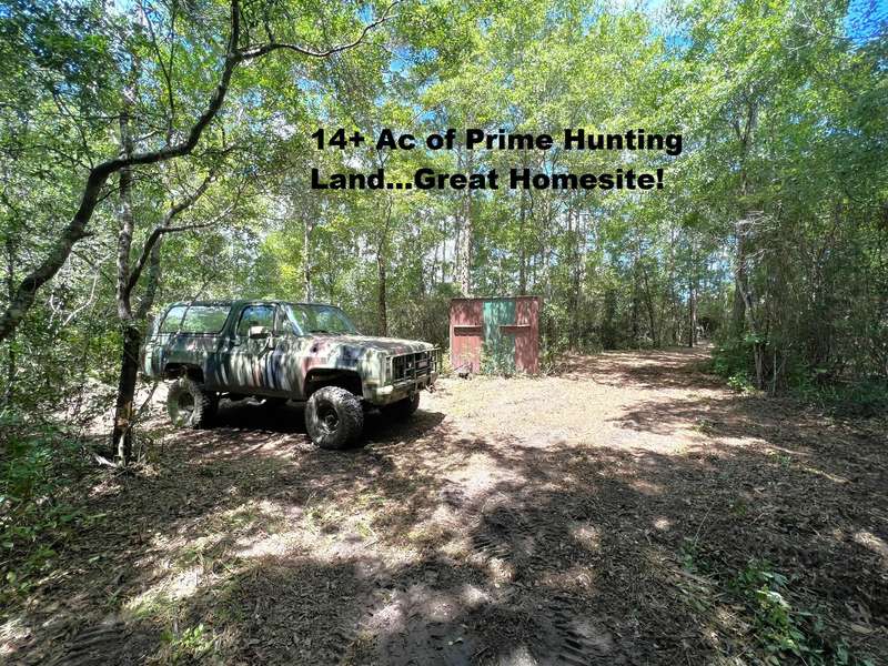 14.5 Ac E Hwy 181, Westville, FL 32464