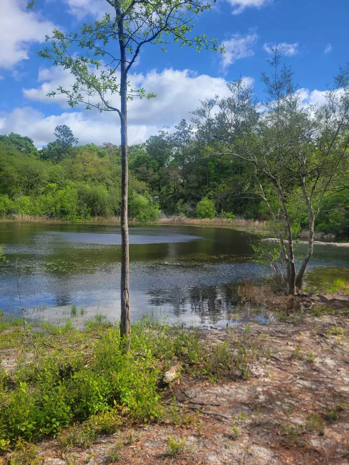 Defuniak Springs, FL 32433,100 Black Bass Boulevard