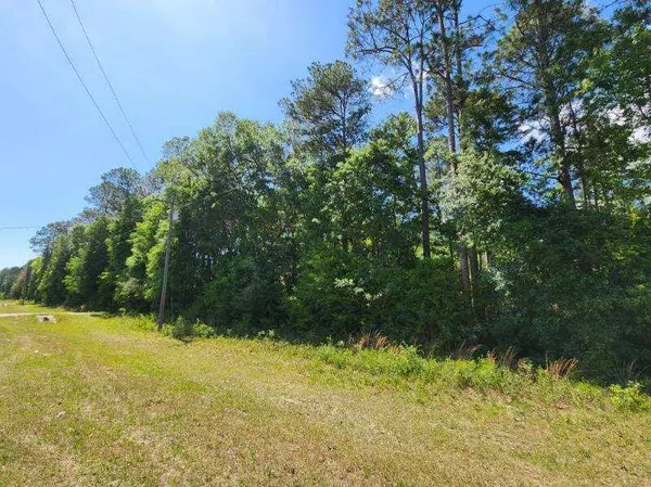 Ponce De Leon, FL 32455,.34 Acres Co Hwy 3280