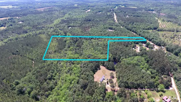 Defuniak Springs, FL 32433,12.53 Acre Co Highway 183B