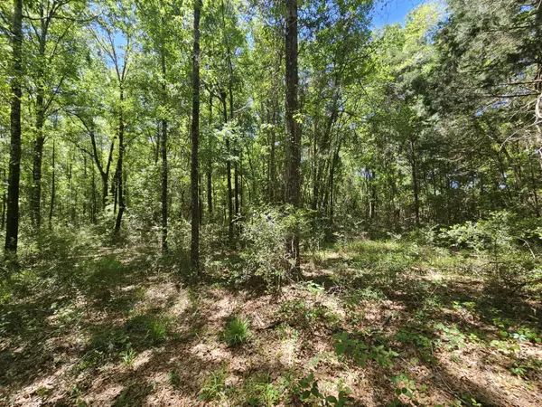 Other, AL,9 +/- Acre US Hwy 29