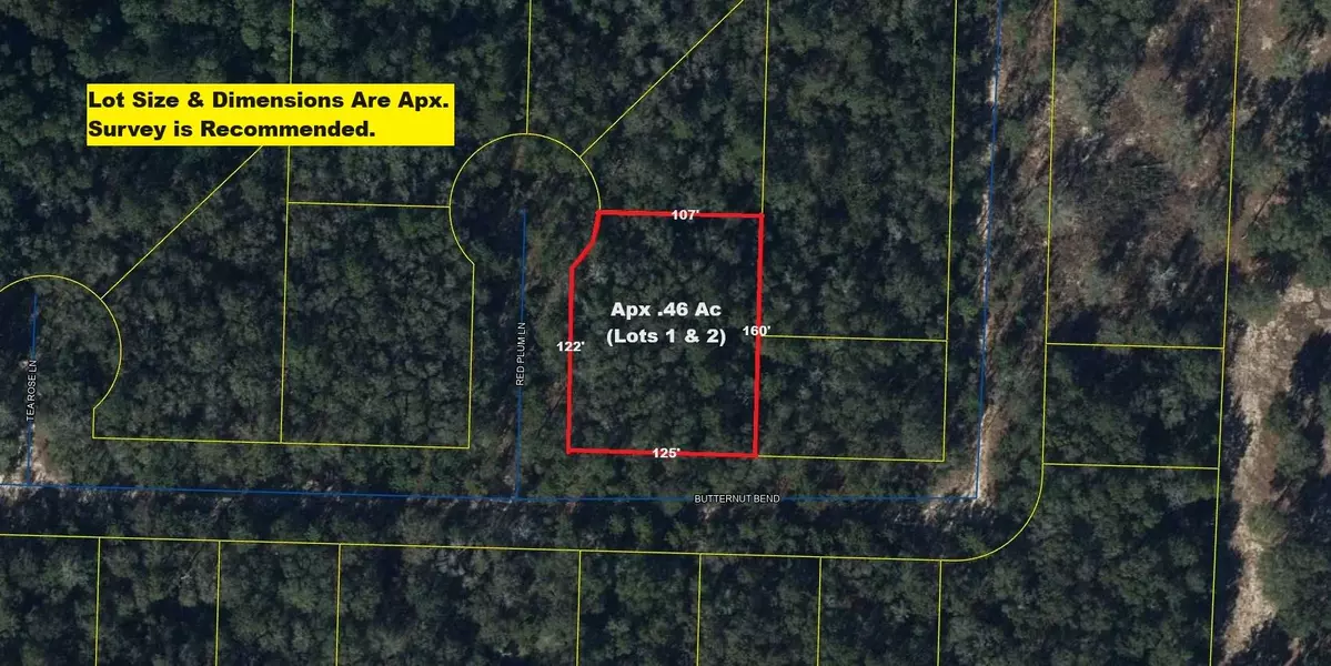 Lots 1 & 2 Red Plum Lane, Defuniak Springs, FL 32433