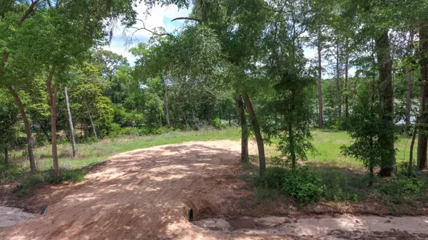 Defuniak Springs, FL 32433,TBD Cat Island Road