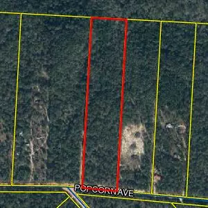 Defuniak Springs, FL 32433,325 Popcorn Avenue