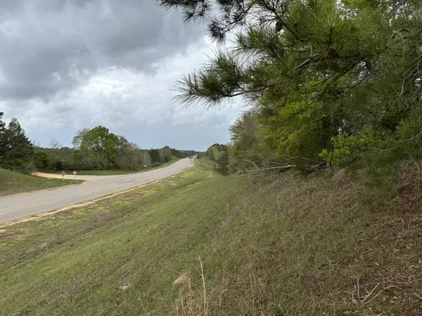 Other, AL,Tract#6103 E Lloyd Mill Road