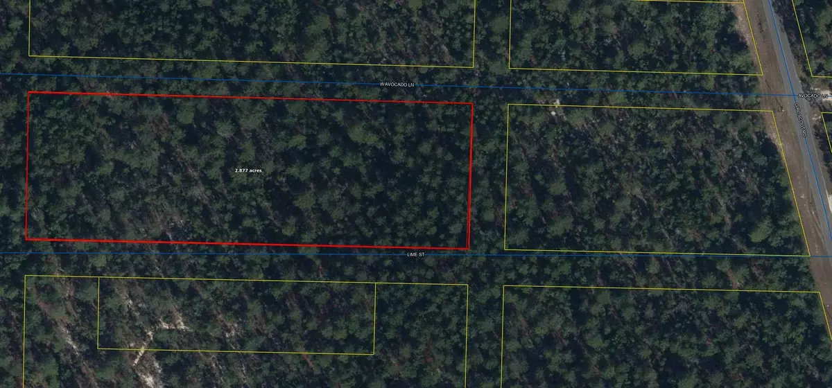 Defuniak Springs, FL 32433,Lots 1-48 W Avacado Lane