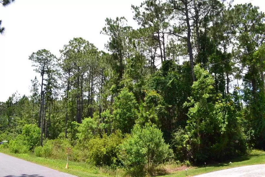 Lot 23 Garden Street, Santa Rosa Beach, FL 32459