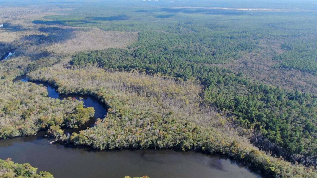 40 ACRES Bunker Creek Area, Vernon, FL 32462