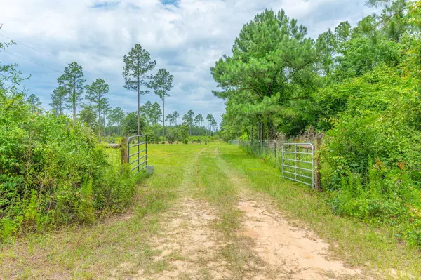 Laurel Hill, FL 32567,10 ACRES BUCK TYNER