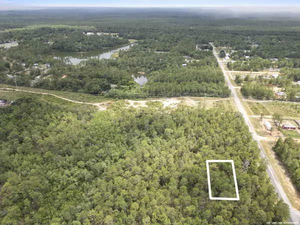 Defuniak Springs, FL 32433,0000 E May Lilly Court