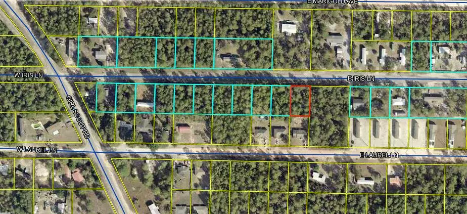 Defuniak Springs, FL 32433,Lot 12 E Iris East Lane