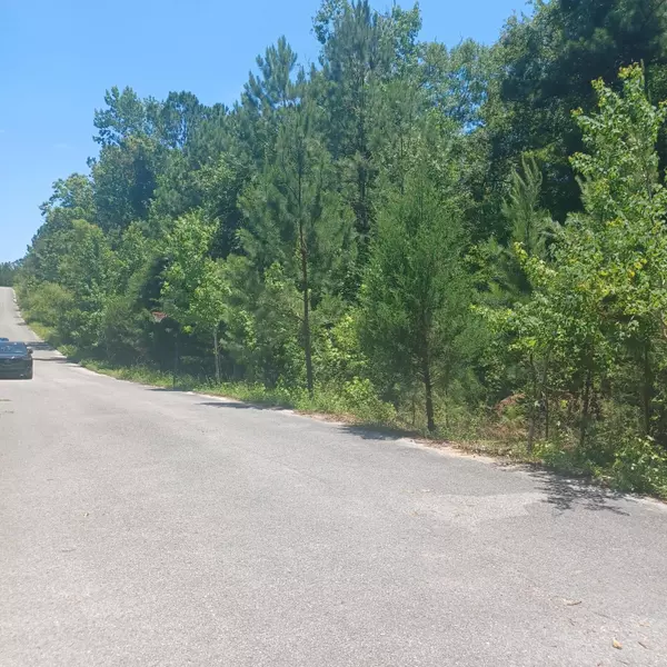 Defuniak Springs, FL 32435,Lot 5 Pleasant Way