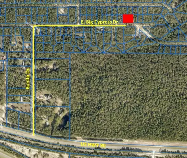 Defuniak Springs, FL 32433,Lots 10&11 E Big Cypress Drive