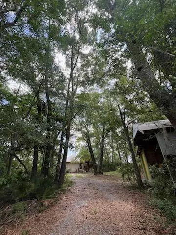 Santa Rosa Beach, FL 32459,393 Bay Magnolia Lane