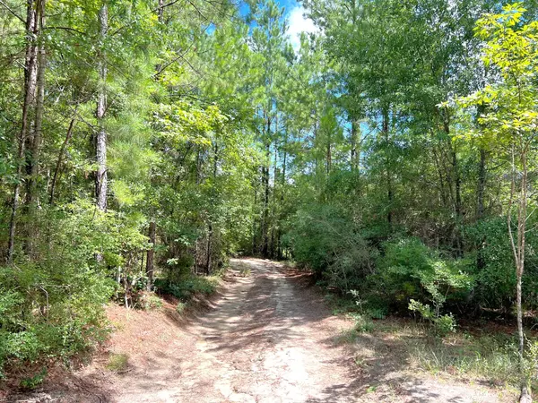 Ponce De Leon, FL 32455,30 Ac Brake Road