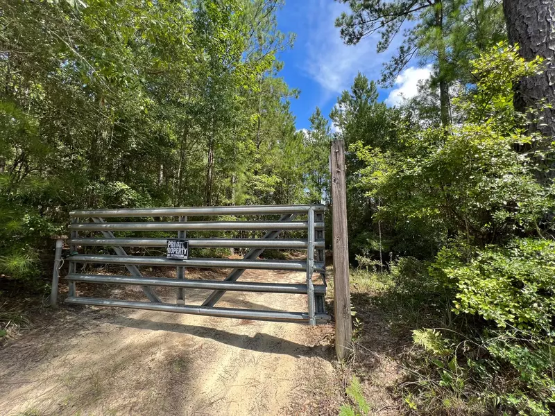 30 Ac Brake Road, Ponce De Leon, FL 32455