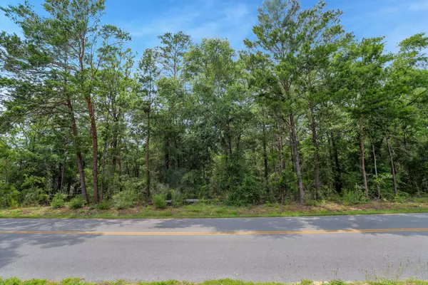 Defuniak Springs, FL 32433,LOT 12 E Howlin Road