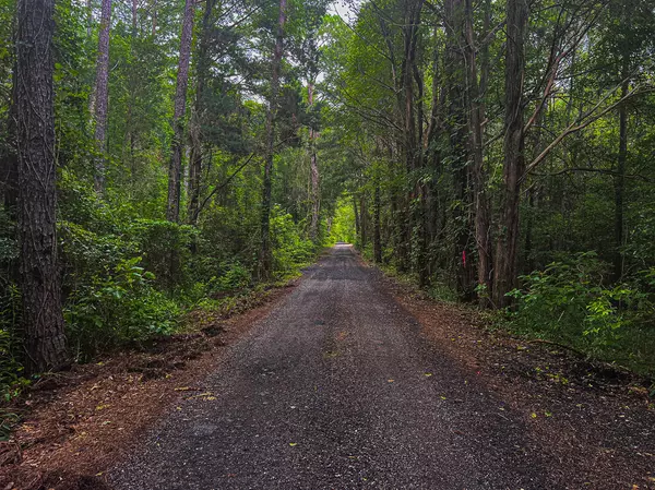 Ponce De Leon, FL 32455,130 Black Beret Road