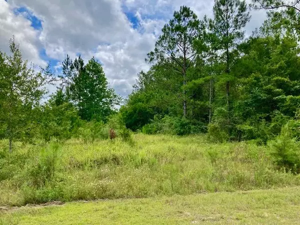 Defuniak Springs, FL 32435,18ac Campbell Road