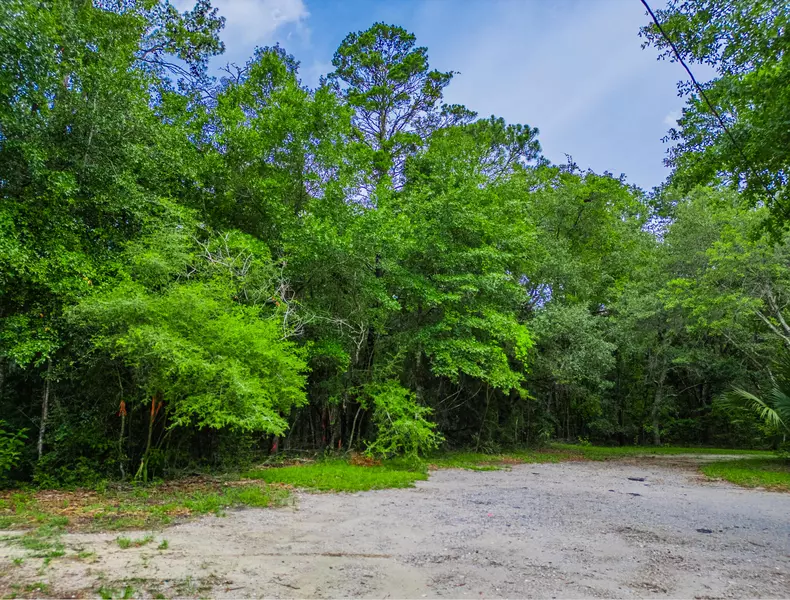 Lot 10 BLK 2 Peachtree Heights on Marie Drive, Santa Rosa Beach, FL 32459