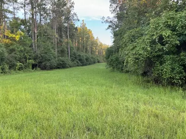 Westville, FL 32464,TBD Southern Oak Way