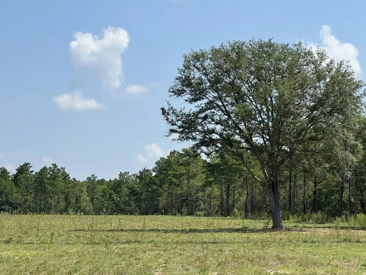 Defuniak Springs, FL 32433,7.4AC W US Hwy 90