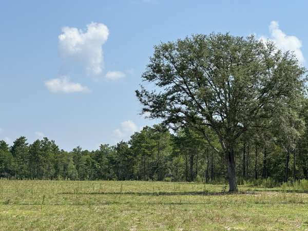 7.4AC W US Hwy 90, Defuniak Springs, FL 32433