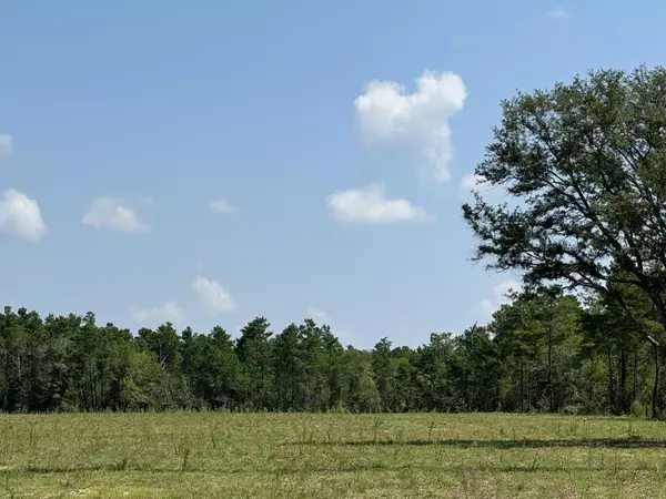 Defuniak Springs, FL 32433,7.4AC W US Hwy 90