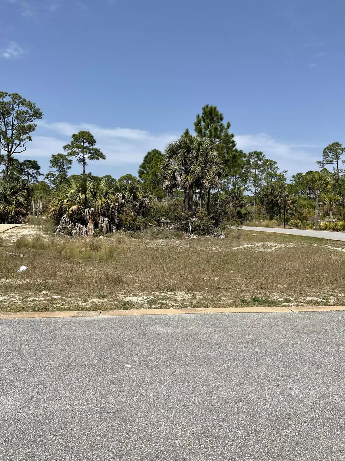 Cape San Blas, FL 32456,Lot 47 Jubilation Drive