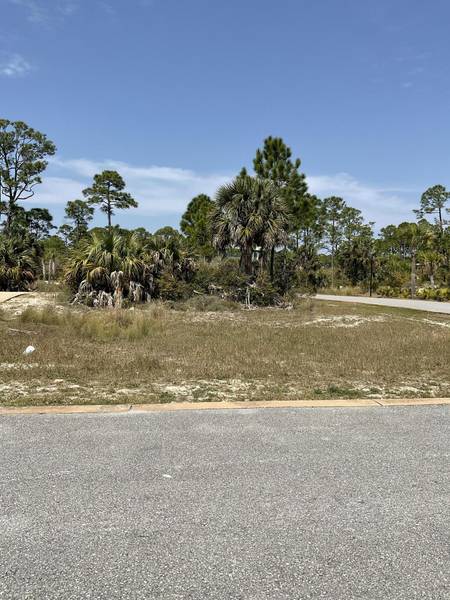 Lot 47 Jubilation Drive, Cape San Blas, FL 32456