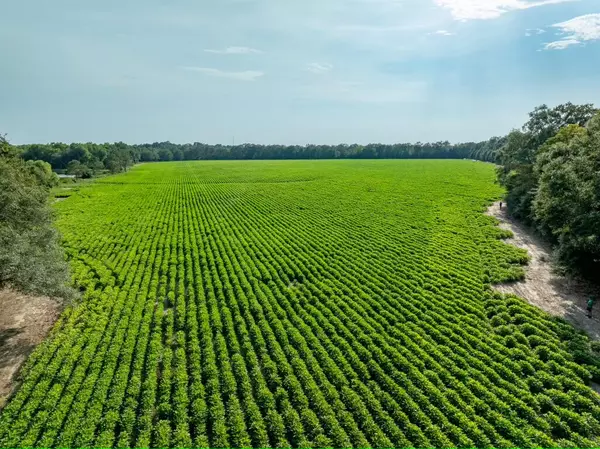 Defuniak Springs, FL 32433,xx N Co Highway 285