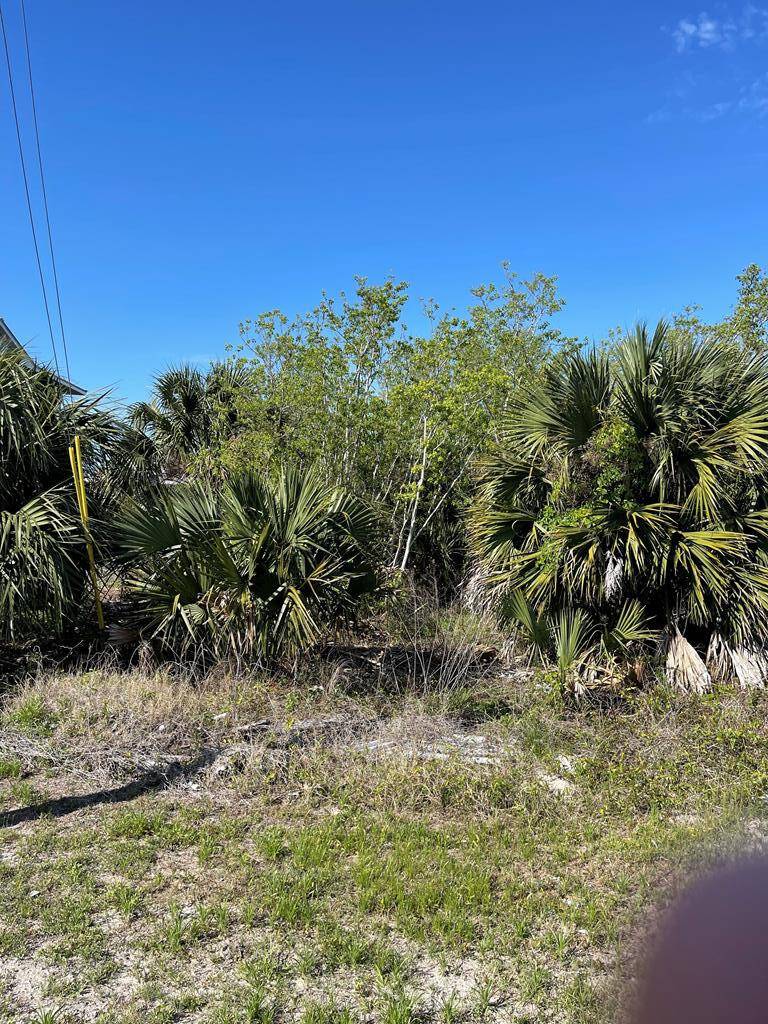 10 Americus Avenue, Port St. Joe, FL 32456