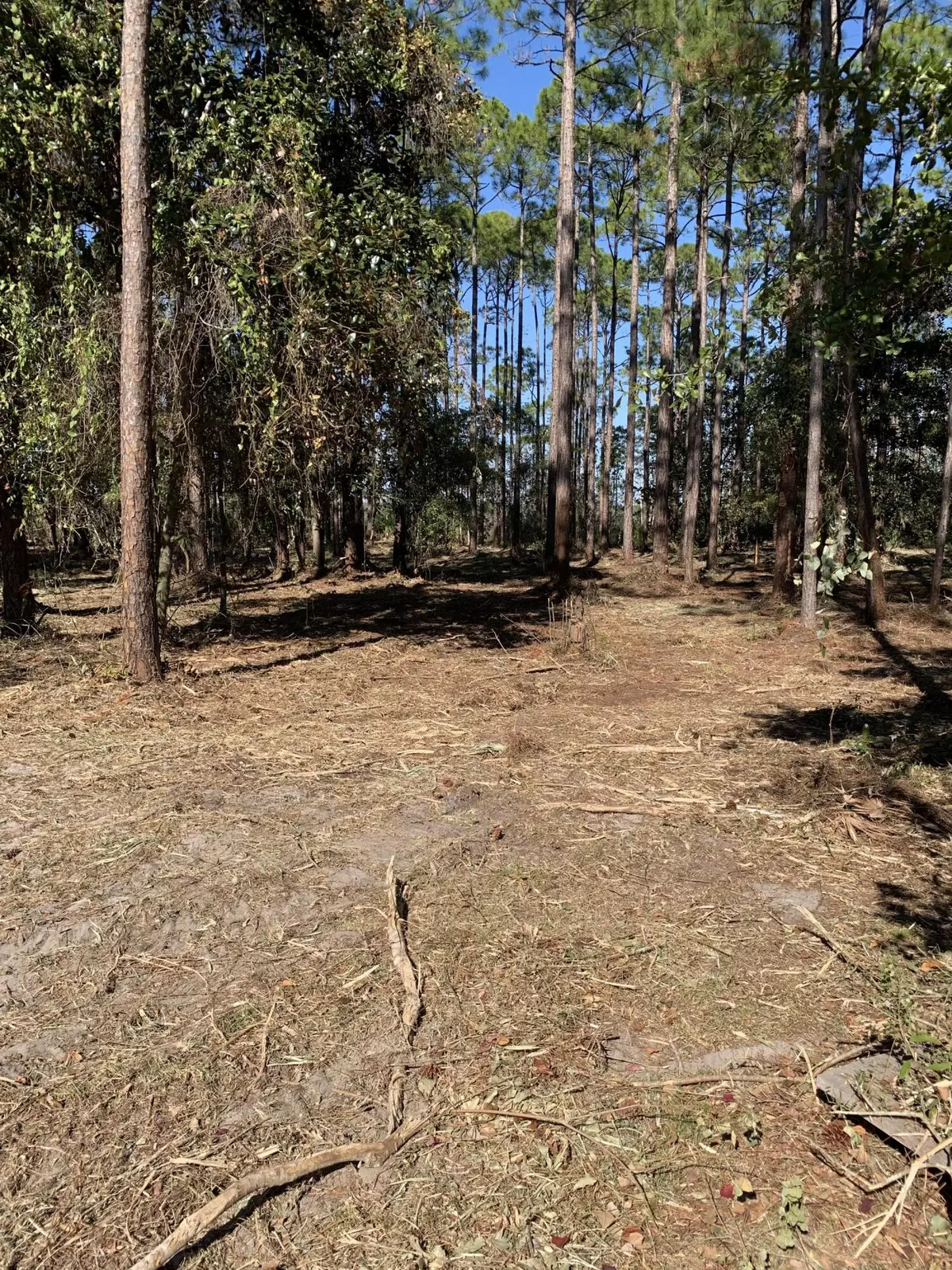 Santa Rosa Beach, FL 32459,682 Churchill Bayou Road