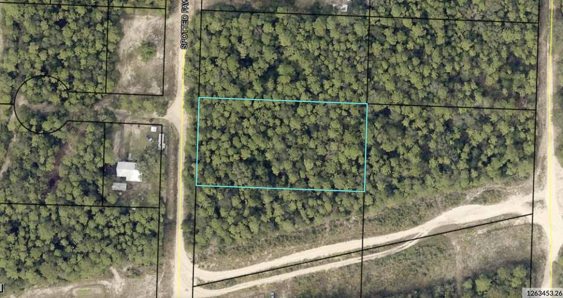 507B Spotted Fawn Lane, Holt, FL 32564