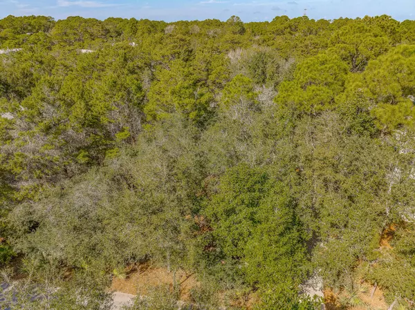 Santa Rosa Beach, FL 32459,Lot 5 Wilderness Way