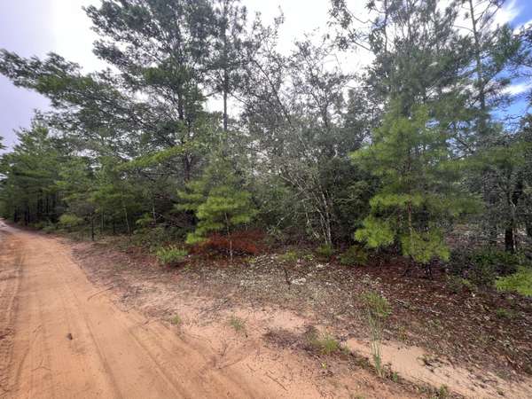 Lot 1, 2, 13 Round Table Road, Defuniak Springs, FL 32433